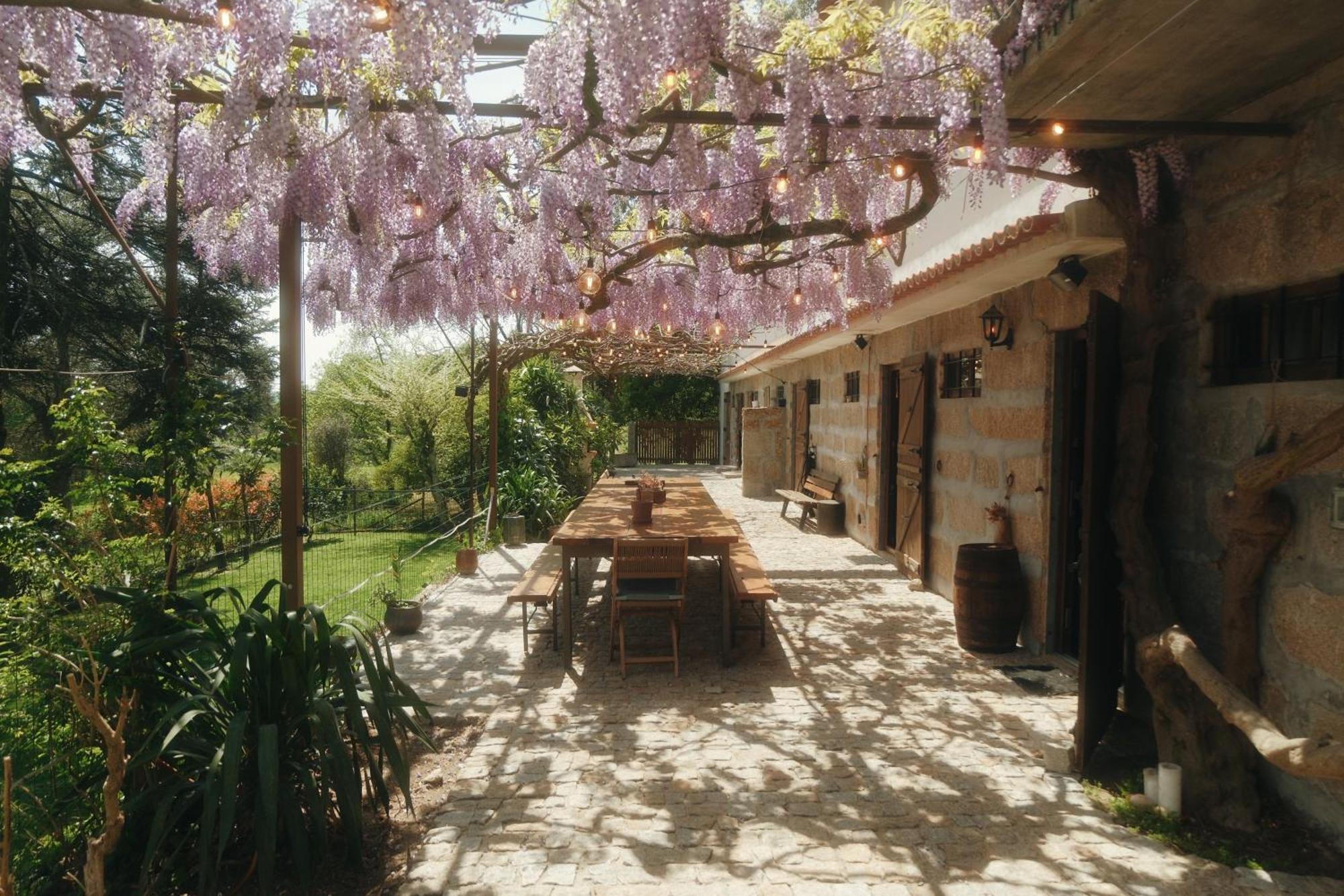 Casa Da Alvarinha Privacidade Conforto Natureza Paredes  Exteriér fotografie