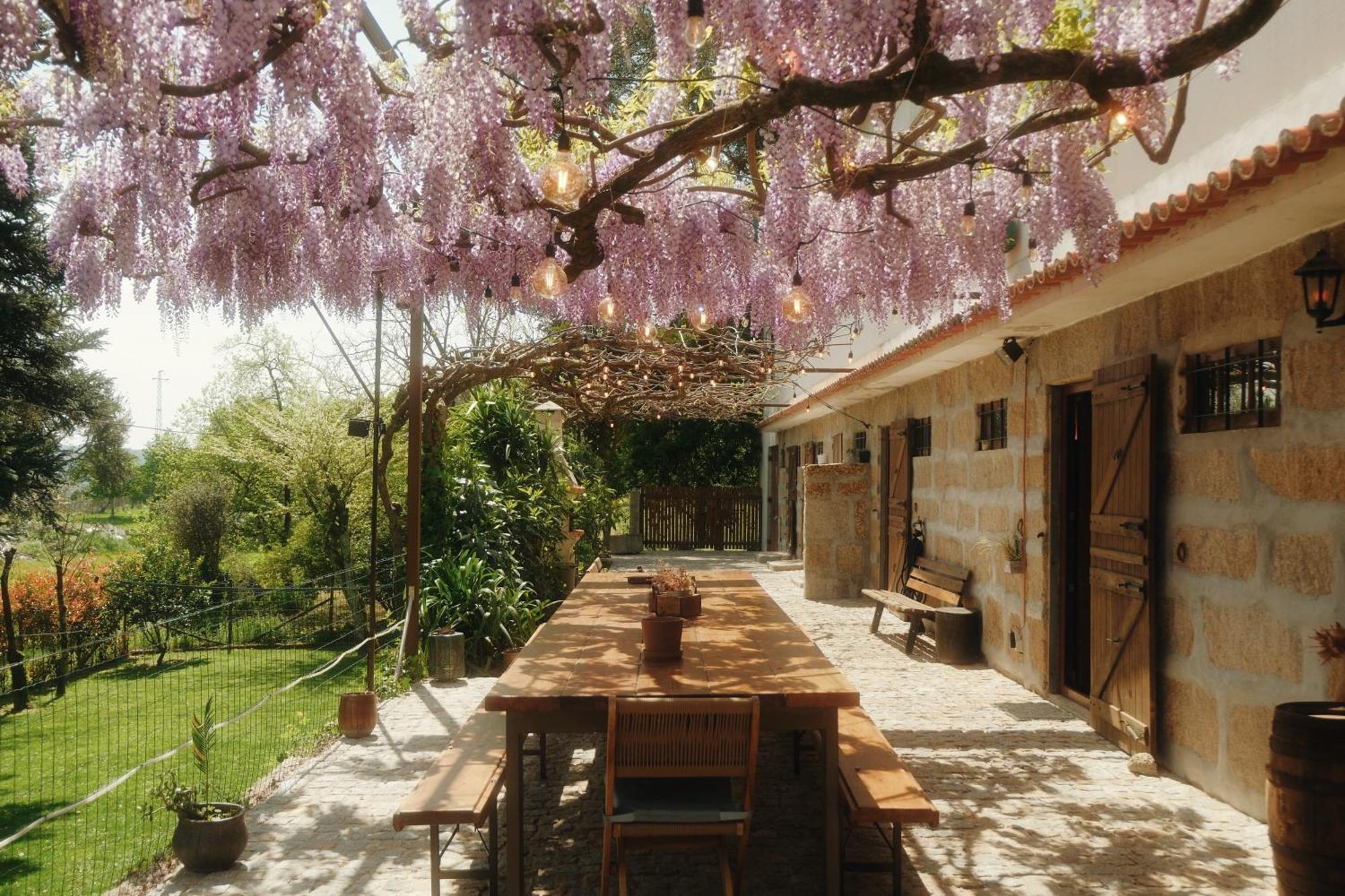 Casa Da Alvarinha Privacidade Conforto Natureza Paredes  Exteriér fotografie