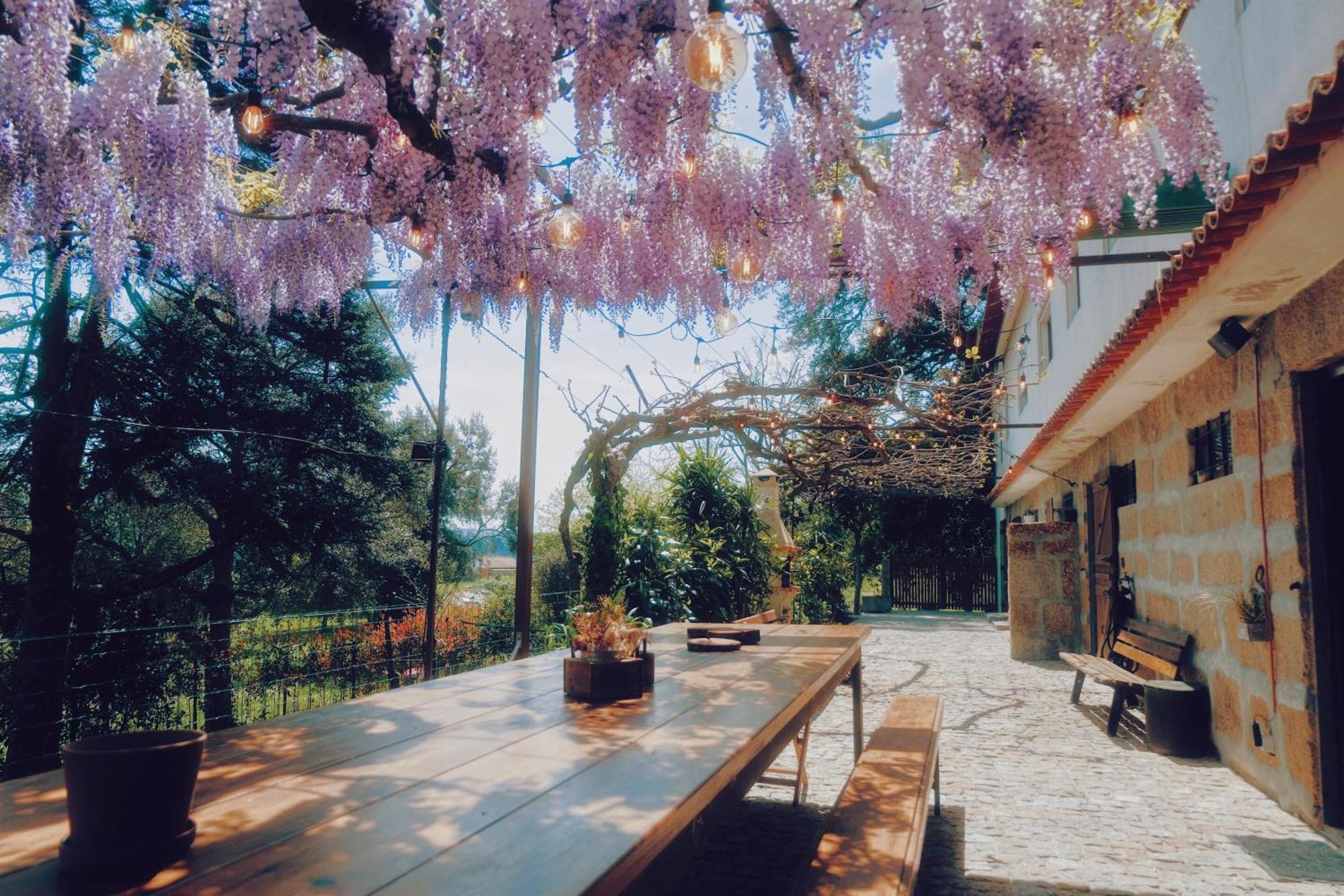 Casa Da Alvarinha Privacidade Conforto Natureza Paredes  Exteriér fotografie